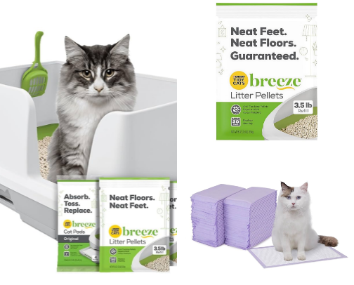 Support for Your Diabetic Cat cover photo collage
