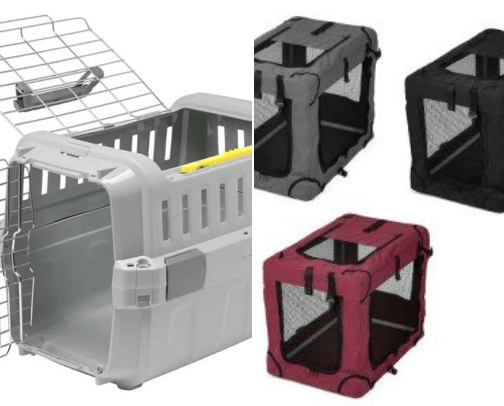 DOG ESSENTIALS 🐶🐕🦮🐩 cover photo collage