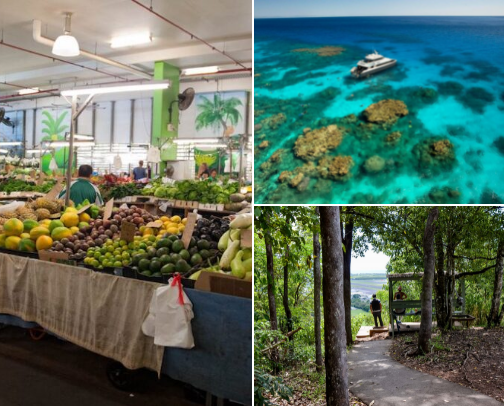 Must do’s in Cairns, Australia cover photo collage