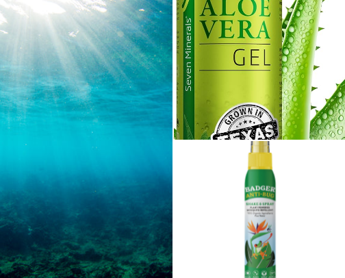 It's time to Cruise! cover photo collage