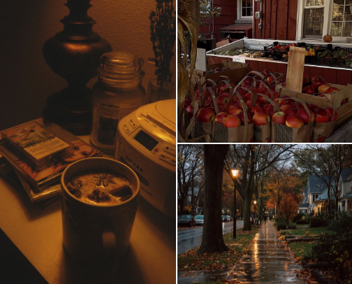 The Fall Comfort Edit cover photo collage