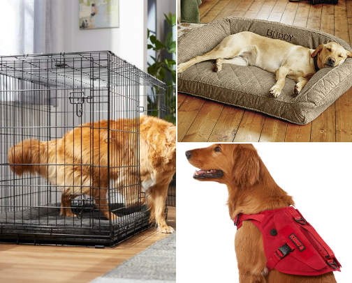 Go to pet finds! cover photo collage