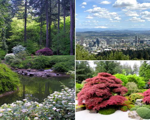 Experience Portland, Oregon - Listing some of my favorites! cover photo collage