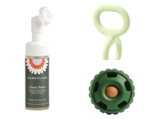 The Ultimate Golden Retriever Essentials for 2025 cover photo collage