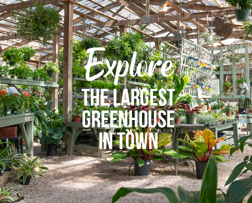 Tallahassee FL Recommendations cover photo collage