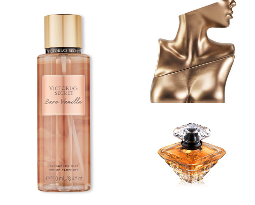From Fresh to Floral: Perfumes That Define You cover photo collage