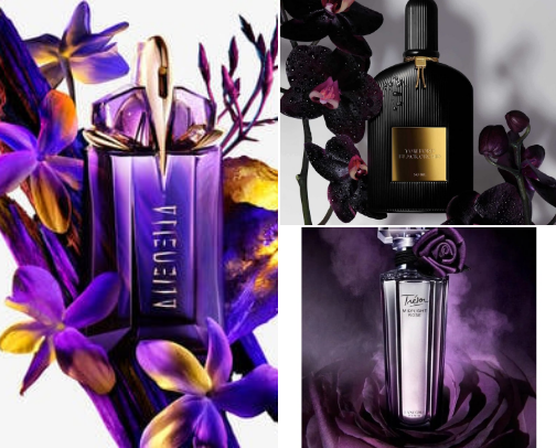 Hypnotizing Scents to Lure Them In cover photo collage