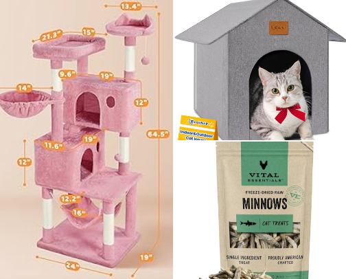 A Cat parents guide to success 🐈🐈‍⬛ cover photo collage