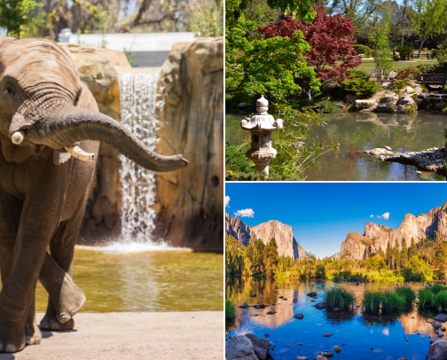 Top Outdoor Activities in Fresno cover photo collage