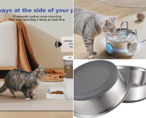 Must-Have Cat Supplies for Happy Cats cover photo collage