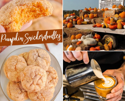 Fall Family Fun 2025 cover photo collage