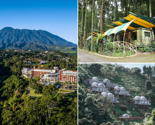 Recommendation hotel in Java Island, Indonesia, that you can visit. cover photo collage