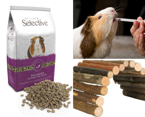 Guinea Pig Products cover photo collage
