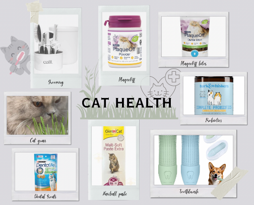 CAT HEALTH cover photo collage