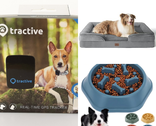 The Essential Pet Toolkit: High-Quality Gear for Dogs and Horses cover photo collage