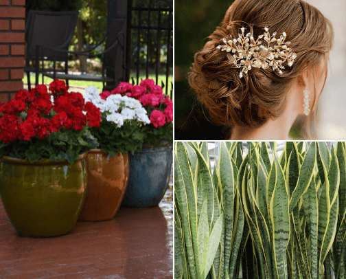 Flower shop cover photo collage