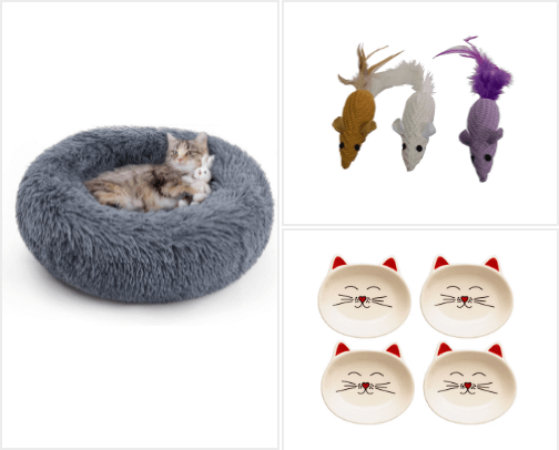 everything for our beloved cats (food, toys and beds) 🐈 cover photo collage
