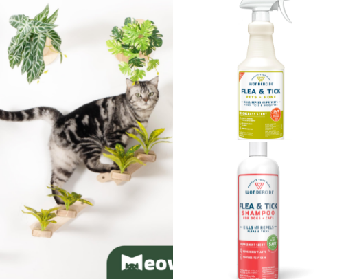 Cat favs cover photo collage