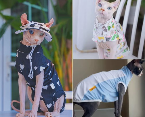 Summer Sphynx Cat Clothes: UV Sun Protection cover photo collage