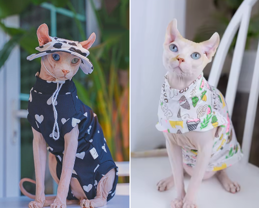 Summer Sphynx Cat Clothes: UV Sun Protection cover photo collage