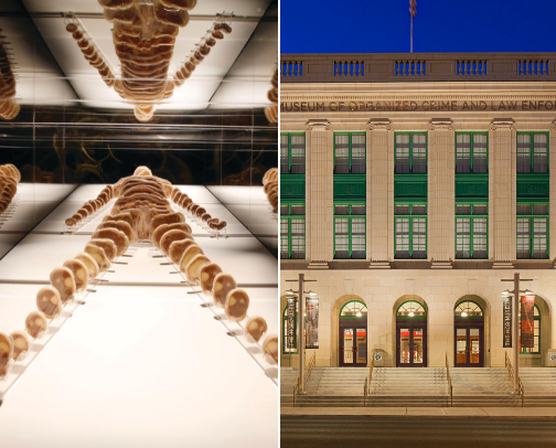 Places to see and experience in Vegas cover photo collage