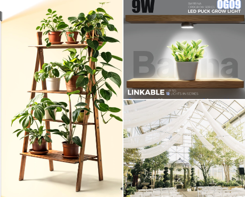 Plant Dad 🪴 cover photo collage