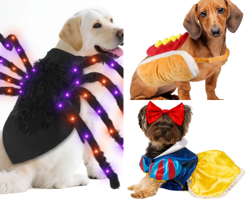 Dog Halloween Costumes cover photo collage