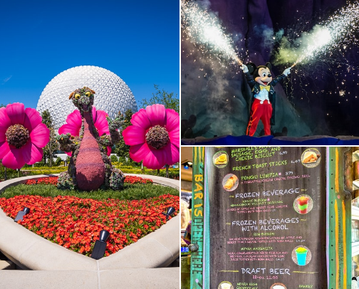 Disney World- Everything to Know! cover photo collage