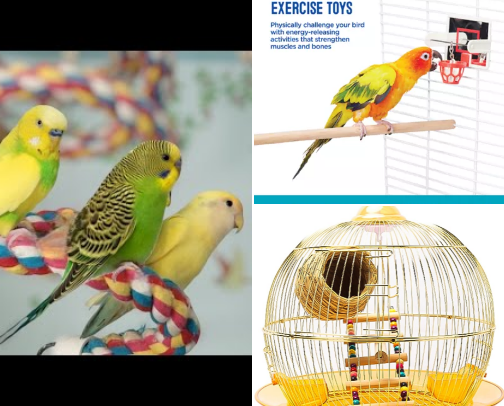 Zazu and Negan, the ultimate Budgies cover photo collage
