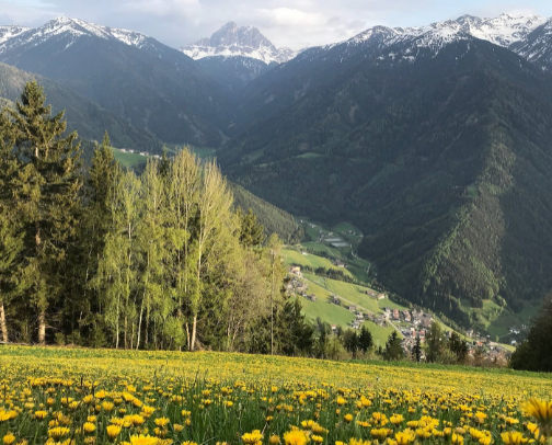 ⛰️Little Explorers – Easy Alpine Treks for Families 🇮🇹 Italy edition cover photo collage
