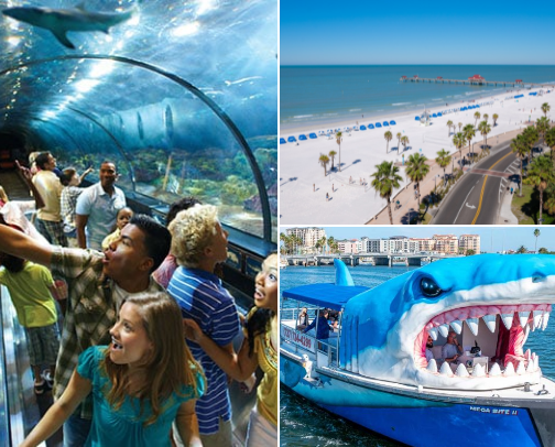 Things to do IN FLORIDA cover photo collage