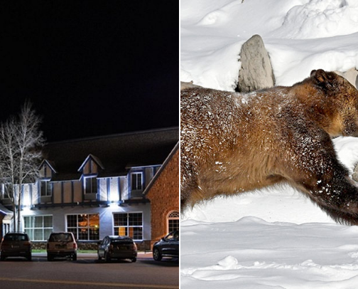 Yellowstone recommends and things to pack 🦬 cover photo collage