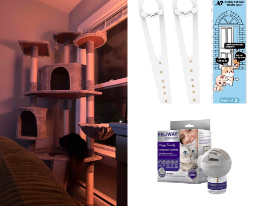 cat-friendly home . ݁₊ ⊹ . ݁˖ . ݁ cover photo collage