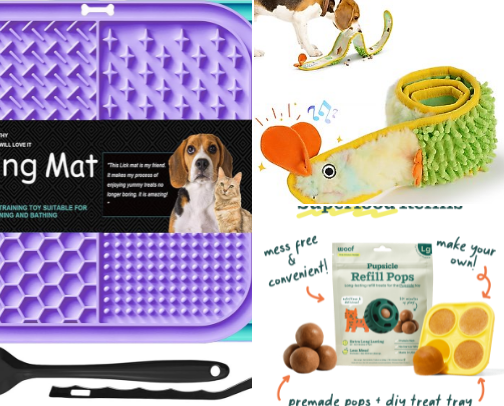 Dog supplies and enrichment cover photo collage