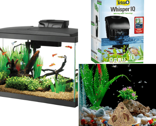 Everything Fish cover photo collage