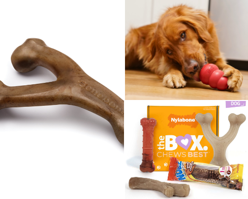Puppy Essentials cover photo collage