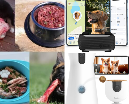 High Demand Pet Items cover photo collage