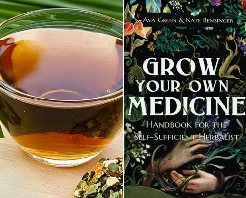 Traditional Herbal Wisdom: Books & Classes cover photo collage