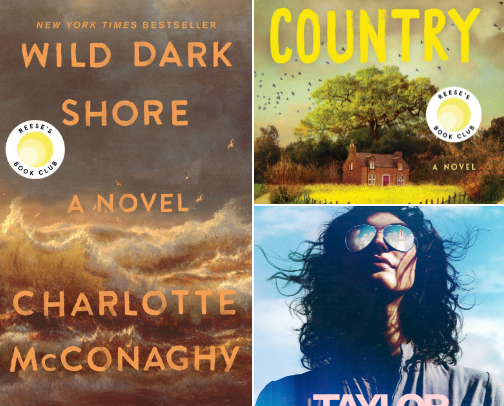 MY TOP BOOKS OF 2025 cover photo collage