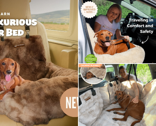Shop with Purpose - Dog Brands with a Positive Impact cover photo collage