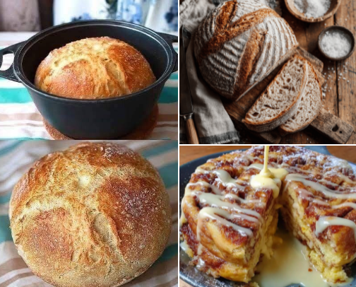 Favorite Recipes for Every Meal and Occasion cover photo collage