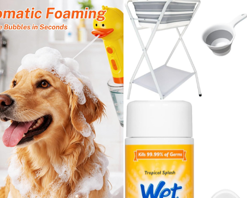 Pampering Your Fur Babies: Must-Have Pet Supplies cover photo collage