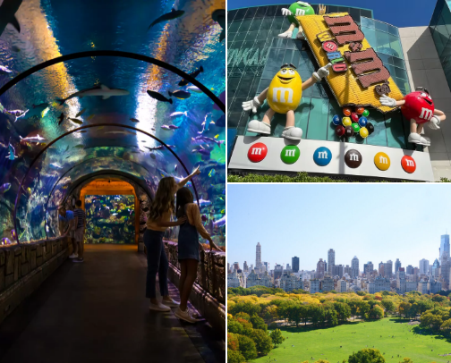 Family Spring Break Vacation Ideas (Pt.2) cover photo collage