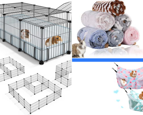 Guinea pig finds 🐹 cover photo collage