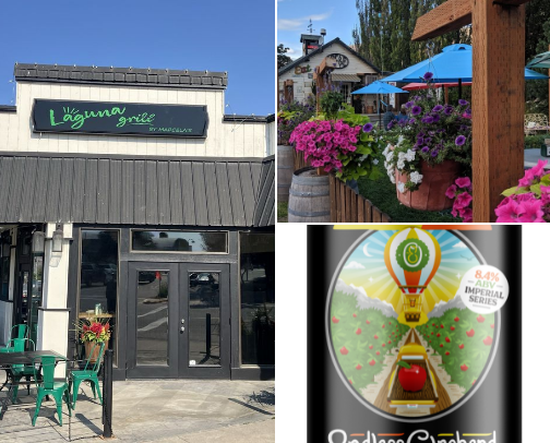 Travel Spots In and around Lake Chelan WA cover photo collage