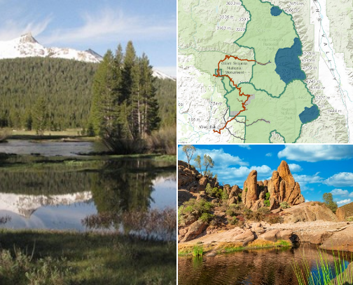 Travel Diaries: California National Park Roadtrip cover photo collage