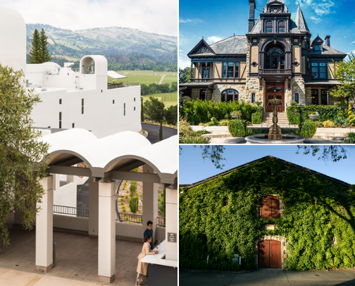 BIG WINE GAL's GUIDE TO NAPA VALLEY WINERIES cover photo collage
