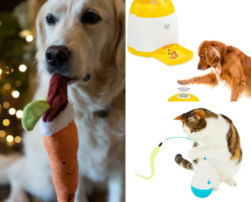 pets 🥹🐾 cover photo collage