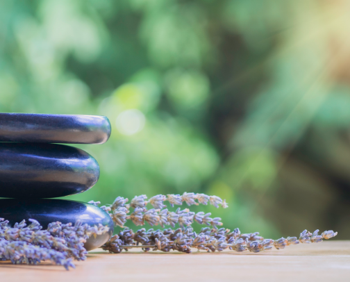 🌿 Gentle Wellness & Nervous-System Supports cover photo collage