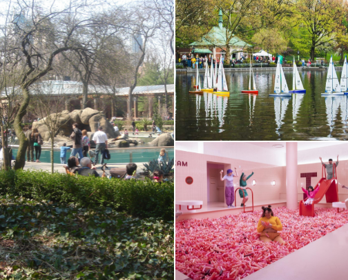 New York with kids cover photo collage